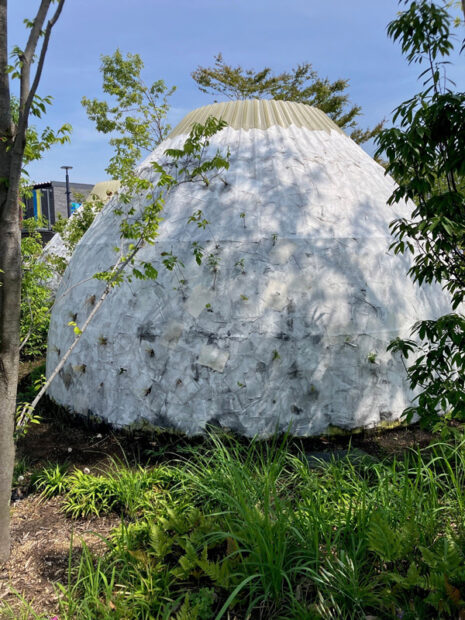 自然に帰る建築 ドーム型の展示物