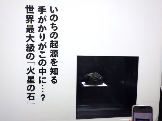 日本館（火星の石）
