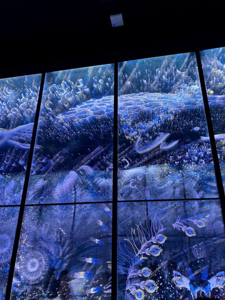 展示